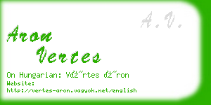 aron vertes business card